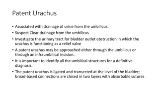 Patent Urachus
• Associated with drainage of urine from the umbilicus.
• Suspect Clear drainage from the umbilicus
• Investigate the urinary tract for bladder outlet obstruction in which the
urachus is functioning as a relief valve
• A patent urachus may be approached either through the umbilicus or
through an infraumbilical incision.
• It is important to identify all the umbilical structures for a definitive
diagnosis.
• The patent urachus is ligated and transected at the level of the bladder;
broad-based connections are closed in two layers with absorbable sutures
 