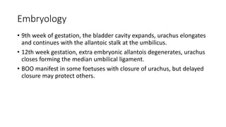 Embryology
• 9th week of gestation, the bladder cavity expands, urachus elongates
and continues with the allantoic stalk at the umbilicus.
• 12th week gestation, extra embryonic allantois degenerates, urachus
closes forming the median umbilical ligament.
• BOO manifest in some foetuses with closure of urachus, but delayed
closure may protect others.
 