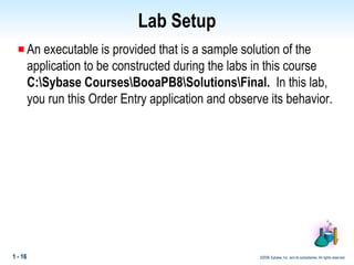 Lab Setup An executable is provided that is a sample solution of the application to be constructed during the labs in this course  C:\Sybase Courses\BooaPB8\Solutions\Final.   In this lab, you run this Order Entry application and observe its behavior. 