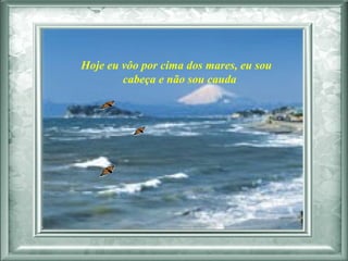 Hoje eu vôo por cima dos mares, eu sou  cabeça e não sou cauda  