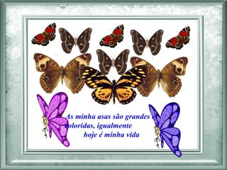 As minha asas são grandes e coloridas, igualmente  hoje é minha vida  