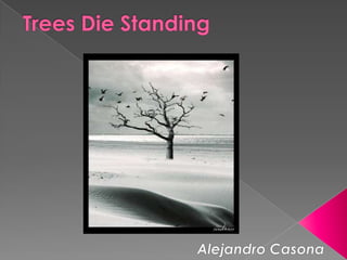Trees Die Standing Alejandro Casona 