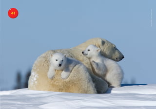 41




Thorsten Milse / Getty Images Latam
 