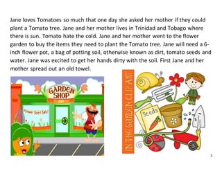 3
Jane loves Tomatoes so much that one day she asked her mother if they could
plant a Tomato tree. Jane and her mother lives in Trinidad and Tobago where
there is sun. Tomato hate the cold. Jane and her mother went to the flower
garden to buy the items they need to plant the Tomato tree. Jane will need a 6-
inch flower pot, a bag of potting soil, otherwise known as dirt, tomato seeds and
water. Jane was excited to get her hands dirty with the soil. First Jane and her
mother spread out an old towel.
 