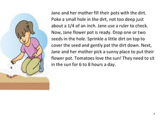 4
Jane and her mother fill their pots with the dirt.
Poke a small hole in the dirt, not too deep just
about a 1/4 of an inch. Jane use a ruler to check.
Now, Jane flower pot is ready. Drop one or two
seeds in the hole. Sprinkle a little dirt on top to
cover the seed and gently pat the dirt down. Next,
Jane and her mother pick a sunny place to put their
flower pot. Tomatoes love the sun! They need to sit
in the sun for 6 to 8 hours a day.
 