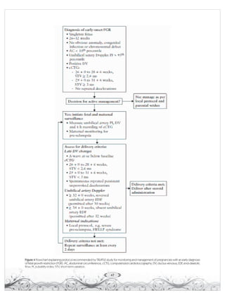 Truffle Study Algorithim INSUOG 2019 | PDF