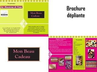 Brochure
dépliante
 