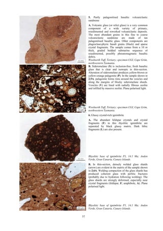 Trachybasalt Mcphie - Volcanic Textures | PDF