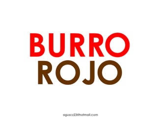 BURRO ROJO [email_address] 