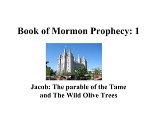 Book of Mormon Prophecy: 1 Jacob: The parable of the Tame and The Wild Olive Trees 