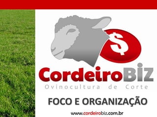 FOCO E ORGANIZAÇÃO
    www.cordeirobiz.com.br
 