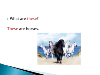    What are these?

These are horses.
 