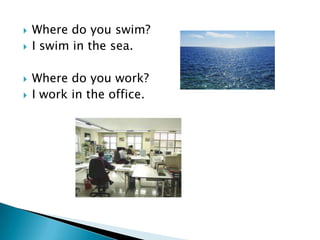   Where do you swim?
   I swim in the sea.

   Where do you work?
   I work in the office.
 