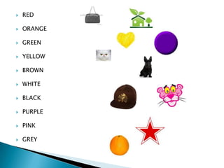    RED

   ORANGE

   GREEN

   YELLOW

   BROWN

   WHITE

   BLACK

   PURPLE

   PINK

   GREY
 
