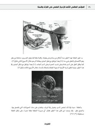 ‫ﺍﻟﻤﺆﺗﻤﺮ ﺍﻟﻌﺎﻟﻤﻲ ﺍﻟﺜﺎﻣﻦ ﻟﻺﻋﺠﺎﺯ ﺍﻟﻌﻠﻤﻲ ﻓﻲ ﺍﻟﻘﺮﺁﻥ ﻭﺍﻟﺴﻨﺔ‬                16




≥∏Y øe á≤à°ûe :¿hô°ùØŸG ∫ƒ≤j Éªc á≤∏Y áª∏ch .¬àjÉ¡f ≈àMh ¬FóH øe ∫Éµ°TCG IóY Qƒ£dG Gò¡d :á≤∏©dG QƒW-Ü
.(2)πµ°T ÊÉãdG ´ƒÑ°SC’G ∫ÓN ºMôdG áfÉ£ÑH Úæ÷G ≥∏©J ™e ≥aGƒàj Gògh (5).Ée A»°ûH ≥∏©àdGh ¥É°üàd’G ƒgh
‘ Úæ÷G πµ°T ™e ≥aGƒàj Gògh (4).óeÉ÷G ΩódG ≈∏Yh Iôª◊G ójó°T ≈∏Yh áeÉY ΩódG ≈∏Y ≥∏©dG ≥∏£j Éªc
        (3)πµ°T ådÉãdG ´ƒÑ°SC’G ∫ÓN AÉeódÉH áÄ∏àªŸGh á∏Ø≤ŸG ájƒeódG á«YhC’G ¬jód ¿ƒµàJ Éªæ«M Qƒ£dG Gòg




,É¡H ≥°üà∏J »àdG äÉfGƒ«◊G AÉeO ≈∏Y iò¨àJh ,∑ÈdG ‘ ¢û«©Jh ,ΩódG ¢üà“ AÉŸG ‘ IOhO : á≤∏©dGh
á≤∏©dG πµ°T ≈∏Y AGôªM á≤∏Y áØ£ædG ÉfÒ°U …CG :∫É≤a Qƒ£dG Gòg Òãc øHG ∞°Uh óbh .≥∏Y ™ª÷Gh
                                                                         (251/3).á∏«£à°ùe


                                              äÉjƒàëŸG
 