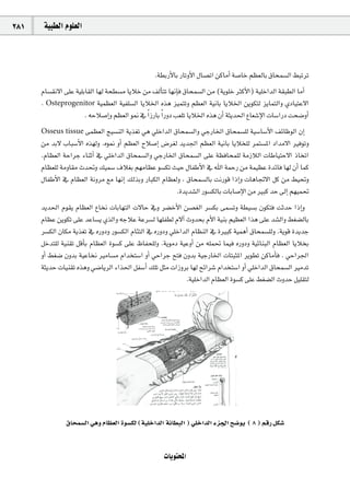 281    á«Ñ£dG Ωƒ∏©dG



                                                  .á£HQC’ÉH QÉJhC’G ∫É°üJG øcÉeCG á°UÉN º¶©dÉH ¥Éëª°ùdG §ÑJôJ
      ΩÉ°ù≤f’G ≈∏Y á«∏HÉ≤dG É¡d áë£°ùe ÉjÓN øe ∞dCÉàJ É¡fEÉa ¥Éëª°ùdG øe (ájƒ∏N ÌcC’G) á«∏NGódG á≤Ñ£dG ÉeCG
      . Osteprogenitor á«ª¶©dG á«Ø∏°ùdG ÉjÓÿG √òg õ«ªàJh º¶©dG á«fÉH ÉjÓÿG øjƒµàd õjÉªàdGh …OÉ«àY’G
                       . ¬MÓ°UEGh º¶©dG ƒ‰ ‘ Gk RQÉH Gk QhO Ö©∏J ÉjÓÿG √òg ¿CG áãjó◊G ´É©°TE’G äÉ°SGQO âë°VhCG
      Osseus tissue ≈ª¶©dG è«°ùædG ájò¨J »g »∏NGódG ¥Éëª°ùdGh »LQÉÿG ¥Éëª°ù∏d á«°SÉ°SC’G ∞FÉXƒdG ¿EG
      øe óH’ ÜÉÑ°SC’G √ò¡dh .√ƒ‰ hCG º¶©dG ìÓ°UEG ¢Vô¨d ójó÷G º¶©dG á«fÉH ÉjÓî∏d ôªà°ùŸG OGóe’G ÒaƒJh
      .ΩÉ¶©dG áMGôL AÉæKCG ‘ »∏NGódG ¥Éëª°ùdGh »LQÉÿG ¥Éëª°ùdG ≈∏Y á¶aÉëª∏d áeRÓdG äÉWÉ«àM’G PÉîJG
      ΩÉ¶©∏d áehÉ≤e çó–h ∂«ª°S ±Ó¨H º¡eÉ¶Y ƒ°ùµJ å«M ∫ÉØWC’G ‘ ˆG áªMQ øe áª«¶Y IóFÉa É¡d ¿CG Éªc
      ∫ÉØWC’G ‘ ΩÉ¶©dG áfhôe ™e É¡fEG ∂dòHh QÉÑµdG ΩÉ¶©dh , ¥Éëª°ùdÉH âfQƒb GPEGh äÉgÉŒ’G πc øe §«–h
                                                        .Iójó°ûdG Qƒ°ùµdÉH äÉHÉ°UE’G øe ÒÑc óM ¤EG º¡«ª–
      ójó◊G Ωƒ≤j ΩÉ¶©dG ´Éîf äÉHÉ¡àdG ä’ÉM ‘h ô°†NC’G ø°ü¨dG ô°ùµH ≈ª°ùJh á£«°ùH ¿ƒµàa âKóM GPEGh
      ΩÉ¶Y øjƒµJ ≈∏Y óYÉ°ùj …òdGh ¬LÓY áYô°ùd É¡∏Ø£d Ω’BG çhóëH ΩC’G á«æH º«¶©dG Gòg ≈∏Y ó°ûdGh §¨°†dÉH
      ô°ùµdG ¿Éµe ájò¨J ‘ √QhOh Qƒ°ùµdG ΩÉÄàdG ‘ √QhOh »∏NGódG ΩÉ¶ædG ‘ IÒÑc á«ªgCG ¥Éëª°ù∏dh .ájƒb IójóL
      πNóà∏d á«æ≤J πbCÉH ΩÉ¶©dG Iƒ°ùc ≈∏Y ®ÉØë∏dh .ájƒeO á«YhCG øe ¬∏ª– Éª«a √QhOh á«FÉæÑdG ΩÉ¶©dG ÉjÓîH
      hCG §¨°V ¿hóH á«YÉîf ÒeÉ°ùe ΩGóîà°SG hCG »MGôL íàa ¿hóH á«LQÉÿG äÉàÑãŸG ôjƒ£J øcÉeCÉa . »MGô÷G
      áãjóM äÉ«æ≤J √ògh »°VÉjôdG AGò◊G πØ°SCG ∂∏J πãe äGRhôH É¡d íFGô°T ΩGóîà°SG hCG »∏NGódG ¥Éëª°ùdG ÒeóJ
                                                            .á«∏NGódG ΩÉ¶©dG Iƒ°ùc ≈∏Y §¨°†dG çhóM π«∏≤àd




               ¥Éëª°ùdG »gh ΩÉ¶©dG Iƒ°ùµd (á«∏NGódG áfÉ£ÑdG ) »∏NGódG Aõ÷G í°Vƒj ( 8 ) ºbQ πµ°T


                                                     äÉjƒàëŸG
 