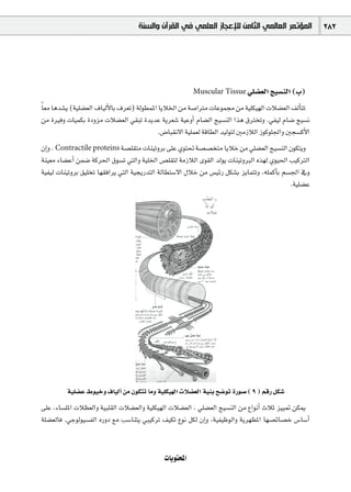 ‫ﺍﻟﻤﺆﺗﻤﺮ ﺍﻟﻌﺎﻟﻤﻲ ﺍﻟﺜﺎﻣﻦ ﻟﻺﻋﺠﺎﺯ ﺍﻟﻌﻠﻤﻲ ﻓﻲ ﺍﻟﻘﺮﺁﻥ ﻭﺍﻟﺴﻨﺔ‬              282




                                                        Muscular Tissue »∏°†©dG è«°ùædG (Ü)

Ék ©e Égó°ûj (á«∏°†©dG ±É«dC’ÉH ±ô©J) ádƒ£ªŸG ÉjÓÿG øe á°UGÎe äÉYƒª› øe á«∏µ«¡dG äÓ°†©dG ∞dCÉàJ
øe IÒah äÉ«ªµH IOhõe äÓ°†©dG »≤ÑJ IójóY ájô©°T á«YhCG ΩÉ°†dG è«°ùædG Gòg ¥ÎîJh .»Ø«d ΩÉ°V è«°ùf
                                             .¢VÉÑ≤f’G á«∏ª©d ábÉ£dG ó«dƒàd ÚeRÓdG Rƒcƒ∏÷Gh Úé°ùcC’G
¿EGh . Contractile proteins á°ü∏≤àe äÉæ«JhôH ≈∏Y …ƒà– á°ü°üîàe ÉjÓN øe »∏°†©dG è«°ùædG ¿ƒµàjh
áæ«©e AÉ°†YCG øª°V ácô◊G ¥ƒ°ùJ »àdGh á«∏ÿG ¢ü∏≤àd áeRÓdG iƒ≤dG ódƒj äÉæ«JhÈdG √ò¡d …ƒ«◊G Ö«cÎdG
á«Ø«d äÉæ«JhôH ≥«∏îJ É¡≤aGôj »àdG á«éjQóàdG ádÉ£à°S’G ∫ÓN øe ¢ù«FQ πµ°ûH õjÉªàJh ,¬∏ªcCÉH º°ù÷G ‘h
                                                                                             .á«∏°†Y




         á«∏°†Y •ƒ«Nh ±É«dCG øe ¿ƒµàJ Éeh á«∏µ«¡dG äÓ°†©dG á«æH í°VƒJ IQƒ°U ( 9 ) ºbQ πµ°T
≈∏Y ,AÉ°ù∏ŸG äÓ¶©dGh á«Ñ∏≤dG äÓ°†©dGh á«∏µ«¡dG äÓ°†©dG , »∏°†©dG è«°ùædG øe ´GƒfCG çÓK õ««“ øµÁ
á∏°†©dÉa .»Lƒdƒ«°ùØdG √QhO ™e Ö°SÉæàj »Ñ«côJ ∞«µJ ´ƒf πµd ¿EGh ,á«Ø«XƒdGh ájô¡¶ŸG É¡°üFÉ°üN ¢SÉ°SCG


                                             äÉjƒàëŸG
 