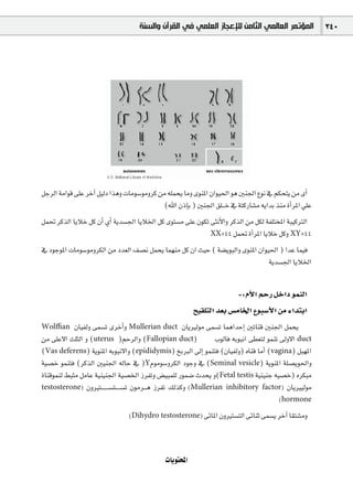 ‫ﺍﻟﻤﺆﺗﻤﺮ ﺍﻟﻌﺎﻟﻤﻲ ﺍﻟﺜﺎﻣﻦ ﻟﻺﻋﺠﺎﺯ ﺍﻟﻌﻠﻤﻲ ﻓﻲ ﺍﻟﻘﺮﺁﻥ ﻭﺍﻟﺴﻨﺔ‬              340




πLôdG áeGƒb ≈∏Y ôNBG π«dO Gògh äÉeƒ°Sƒehôc øe ¬∏ªëj Éeh iƒæŸG ¿Gƒ«◊G ƒg Úæ÷G ´ƒf ‘ ºµëàj øe iCG
                                             (ˆG ¿PEÉH ) Úæ÷G ≥∏`` N ‘ áàcQÉ°ûe ¬jGóH òæe ICGôŸG »∏Y
πª– ôcòdG ÉjÓN πc ¿CG …CG ájó°ù÷G ÉjÓÿG πc iƒà°ùe ≈∏Y ¿ƒµJ ≈ãfC’Gh ôcòdG øe πµd áØ∏àîŸG áÑ«cÎdG
                                                           XX+44 πª– ICGôŸG ÉjÓN πch XY+44

‘ OƒLƒŸG äÉeƒ°SƒehôµdG øe Oó©dG ∞°üf πªëj Éª¡æe πc ¿G å«M ( á°†jƒÑdGh iƒæŸG ¿Gƒ«◊G ) GóY Éª«a
                                                                                ájó°ù÷G ÉjÓÿG


                                                                        -:ΩC’G ºMQ πNGO ƒªædG
                                                        í«≤∏àdG ó©H ¢ùeÉÿG ´ƒÑ°SC’G øe AGóàHG
Wolﬃan      ¿É«Ødh ≈ª°ùJ iôNCGh Mullerian duct ¿ÉjÒdƒe ≈ª°ùJ ÉªgGóMEG ÚJÉæb Úæ÷G πªëj
øe ≈∏Y’G å∏ãdG h (uterus )ºMôdGh (Fallopian duct)                 ÜƒdÉa ¬HƒÑfG ≈£©àd ƒªæJ ¤h’G duct
(Vas deferens) ájƒæŸG ¬HƒÑf’Gh (epididymis) ïHÈdG ¤EG ƒªæàa (¿É«Ødh) √Éæb ÉeCG (vagina) πÑ¡ŸG
á«°üN ƒªæàa (ôcòdG Ú«æ÷G ¬dÉM ‘ )YΩƒeƒ°ShôµdG OƒLh ‘ (Seminal vesicle) ájƒæŸG á∏°üjƒ◊Gh
IÉæbƒªæd §Ñãe πeÉY á«æ«æ÷G á«°üÿG RôØJh ¢†«Ñª∏d Qƒª°V çóëj h(Fetal testis á«æ«æL ¬«°üN) √ôµÑe
testosterone) ¿hÒà`` ` ` `°ùà`` ` °ùJ ¿ƒeô`` g RôØJ ∂dòch (Mullerian inhibitory factor) ¿ÉjÒ«dƒe
                                                                                       (hormone

                                (Dihydro testosterone) ≈FÉŸG ¿hÒà°ùàdG ≈FÉæK ≈ª°ùj ôNBG É≤à°ûeh




                                             äÉjƒàëŸG
 