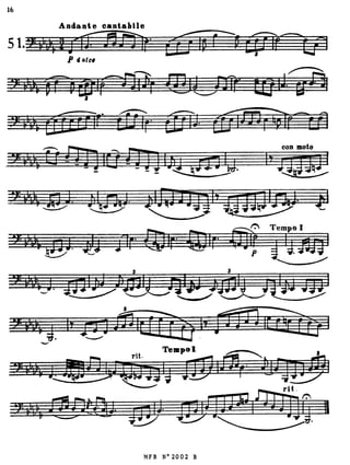Blazhevich 70Studies Book2