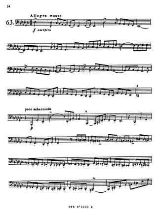 Blazhevich 70Studies Book2