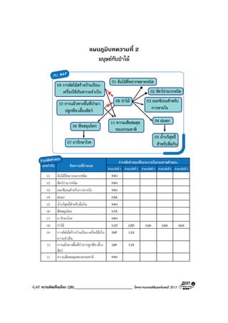 GAT ความคิดเชื่อมโยง (28)____________________________ โครงการแบรนดซัมเมอรแคมป 2013
แผนภูมิบทความที่ 2
มนุษยกับปาไม
 