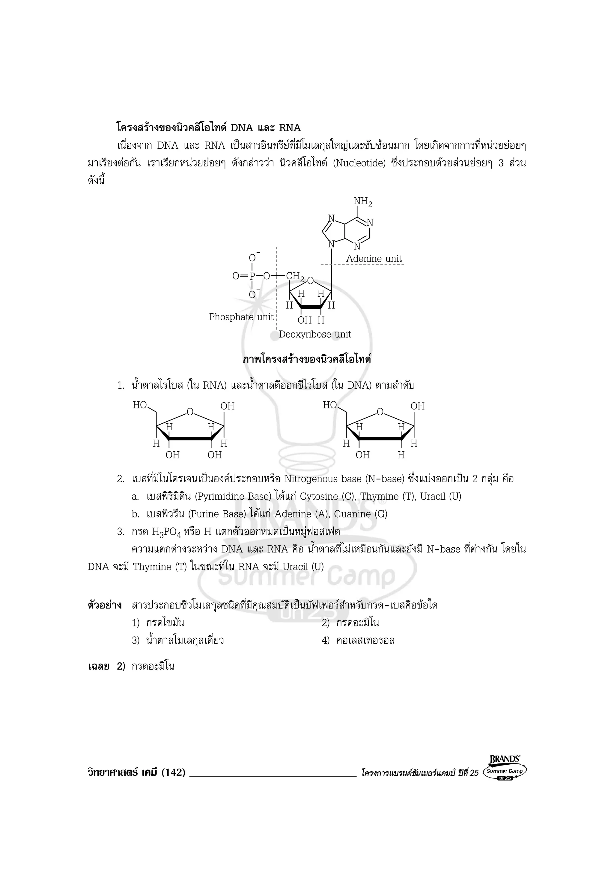 วิทยาศาสตร เคมี (142) ______________________________ โครงการแบรนดซัมเมอรแคมป ปที่ 25
โครงสรางของนิวคลีโอไทด DNA และ RNA
เนื่องจาก DNA และ RNA เปนสารอินทรียที่มีโมเลกุลใหญและซับซอนมาก โดยเกิดจากการที่หนวยยอยๆ
มาเรียงตอกัน เราเรียกหนวยยอยๆ ดังกลาววา นิวคลีโอไทด (Nucleotide) ซึ่งประกอบดวยสวนยอยๆ 3 สวน
ดังนี้
2CH
Adenine unit
Deoxyribose unit
Phosphate unit OH H
O
HH
H H
OP
-
O
-
O
O
2NH
N
N N
N
ภาพโครงสรางของนิวคลีโอไทด
1. น้ําตาลไรโบส (ใน RNA) และน้ําตาลดีออกซีไรโบส (ใน DNA) ตามลําดับ
OH OH
OHHO
H H
O
HH
OH
OHHO
H H
O
HH
H
2. เบสที่มีไนโตรเจนเปนองคประกอบหรือ Nitrogenous base (N-base) ซึ่งแบงออกเปน 2 กลุม คือ
a. เบสพิริมิดีน (Pyrimidine Base) ไดแก Cytosine (C), Thymine (T), Uracil (U)
b. เบสพิวรีน (Purine Base) ไดแก Adenine (A), Guanine (G)
3. กรด H3PO4 หรือ H แตกตัวออกหมดเปนหมูฟอสเฟต
ความแตกตางระหวาง DNA และ RNA คือ น้ําตาลที่ไมเหมือนกันและยังมี N-base ที่ตางกัน โดยใน
DNA จะมี Thymine (T) ในขณะที่ใน RNA จะมี Uracil (U)
ตัวอยาง สารประกอบชีวโมเลกุลชนิดที่มีคุณสมบัติเปนบัฟเฟอรสําหรับกรด-เบสคือขอใด
1) กรดไขมัน 2) กรดอะมิโน
3) น้ําตาลโมเลกุลเดี่ยว 4) คอเลสเทอรอล
เฉลย 2) กรดอะมิโน
 