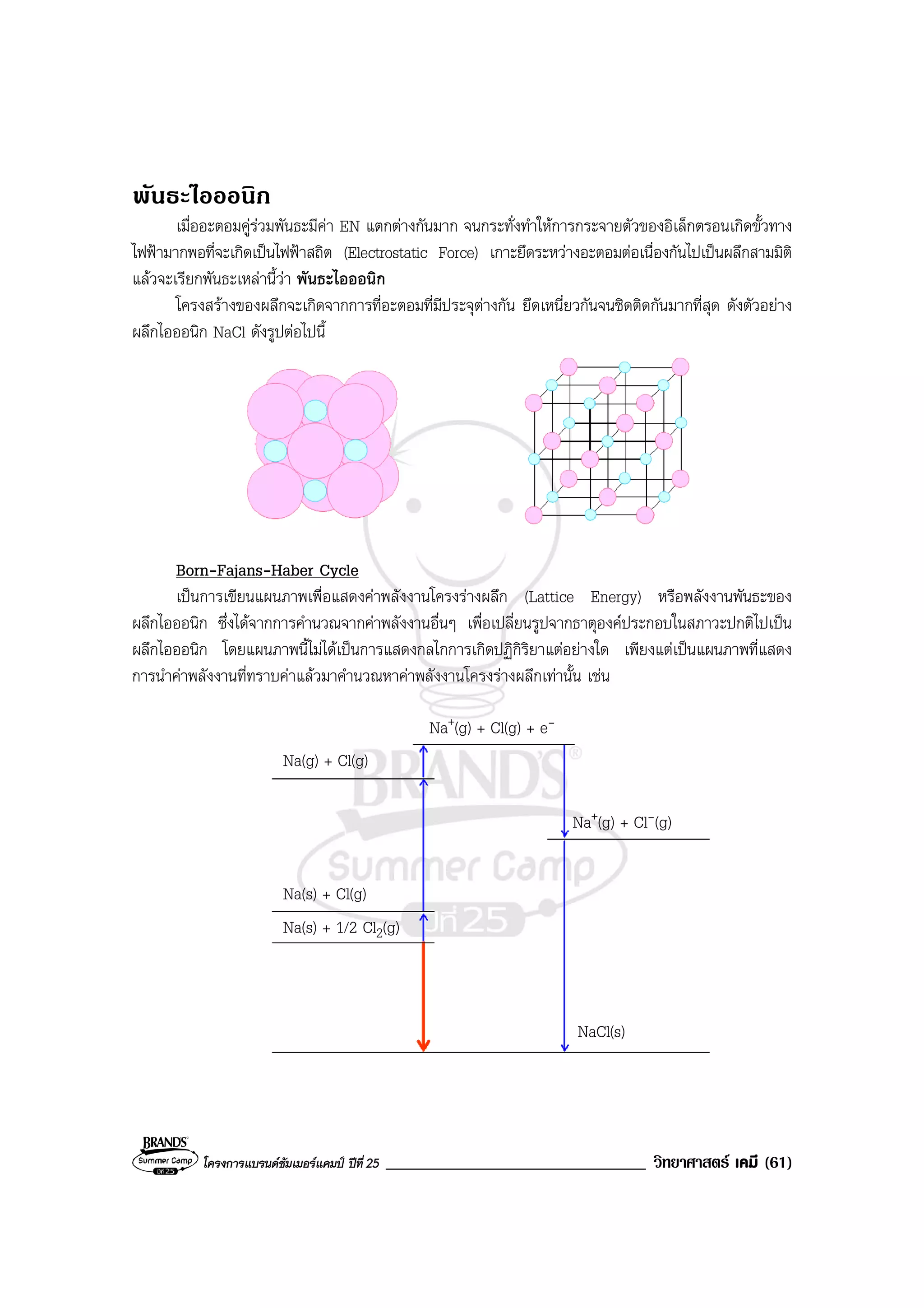 โครงการแบรนดซัมเมอรแคมป ปที่ 25 _______________________________ วิทยาศาสตร เคมี (61)
พันธะไอออนิก
เมื่ออะตอมคูรวมพันธะมีคา EN แตกตางกันมาก จนกระทั่งทําใหการกระจายตัวของอิเล็กตรอนเกิดขั้วทาง
ไฟฟามากพอที่จะเกิดเปนไฟฟาสถิต (Electrostatic Force) เกาะยึดระหวางอะตอมตอเนื่องกันไปเปนผลึกสามมิติ
แลวจะเรียกพันธะเหลานี้วา พันธะไอออนิก
โครงสรางของผลึกจะเกิดจากการที่อะตอมที่มีประจุตางกัน ยึดเหนี่ยวกันจนชิดติดกันมากที่สุด ดังตัวอยาง
ผลึกไอออนิก NaCl ดังรูปตอไปนี้
Born-Fajans-Haber Cycle
เปนการเขียนแผนภาพเพื่อแสดงคาพลังงานโครงรางผลึก (Lattice Energy) หรือพลังงานพันธะของ
ผลึกไอออนิก ซึ่งไดจากการคํานวณจากคาพลังงานอื่นๆ เพื่อเปลี่ยนรูปจากธาตุองคประกอบในสภาวะปกติไปเปน
ผลึกไอออนิก โดยแผนภาพนี้ไมไดเปนการแสดงกลไกการเกิดปฏิกิริยาแตอยางใด เพียงแตเปนแผนภาพที่แสดง
การนําคาพลังงานที่ทราบคาแลวมาคํานวณหาคาพลังงานโครงรางผลึกเทานั้น เชน
NaCl(s)
Na(g) + Cl(g)
Na+(g) + Cl(g) + e-
Na(s) + 1/2 Cl2(g)
Na(s) + Cl(g)
Na+(g) + Cl-(g)
 