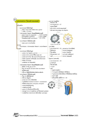 โครงการแบรนดซัมเมอรแคมป ปที่ 25 ___________________________ วิทยาศาสตร ชีววิทยา (127)
 