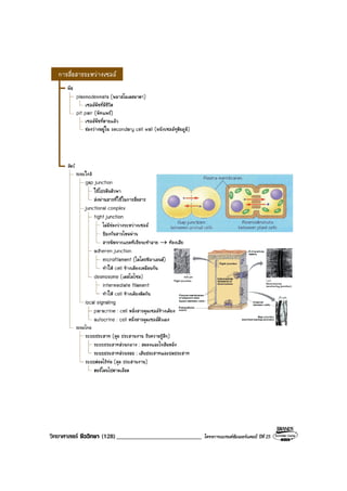 วิทยาศาสตร ชีววิทยา (128)___________________________ โครงการแบรนดซัมเมอรแคมป ปที่ 25
 
