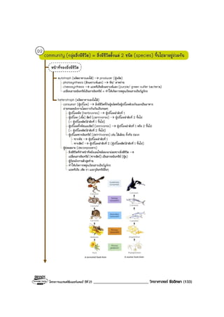 โครงการแบรนดซัมเมอรแคมป ปที่ 25 ___________________________ วิทยาศาสตร ชีววิทยา (133)
 