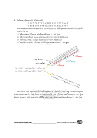 วิทยาศาสตร ชีววิทยา (142)___________________________ โครงการแบรนดซัมเมอรแคมป ปที่ 25
3. ดีเอ็นเอสายคูโมเลกุลหนึ่ง มีลําดับเบสดังนี้
5′ C C A T G T T G A A 1000 C G A T A C T G A A 3′
3′ G G T A C A A C T T คูเบส G C T A T G A C T T 5′
หากเกิดกระบวนการจําลองตัวของดีเอ็นเอ (DNA replication) เมื่อสิ้นสุดกระบวนการจะไดผลเปนอยางไร
(PAT2 มี.ค. 55)
1) ไดดีเอ็นเอสายคู 2 โมเลกุล แตละโมเลกุลมีความยาว 1,020 คูเบส
2) ไดดีเอ็นเอสายเดี่ยว 2 โมเลกุล แตละโมเลกุลมีความยาวนอยกวา 1,020 คูเบส
3) ไดอารเอ็นเอสายคู 2 โมเลกุล แตละโมเลกุลมีความยาว 1,020 คูเบส
4) ไดอารเอ็นเอสายเดี่ยว 1 โมเลกุล แตละโมเลกุลมีความยาวนอยกวา 1,020 คูเบส
กระบวนการ DNA Replication ในแตละโมเลกุลของ DNA จะไดเปน DNA สายคู และแตละโมเลกุลจะมี
ความยาวของคูเบสเทากับ DNA ตนแบบ จากโจทยกําหนดให DNA 2 โมเลกุล แตละโมเลกุลยาว 1,020 คูเบส
เมื่อเกิดกระบวนการ DNA Replication จะไดเปน DNA สายคู 2 โมเลกุล แตละโมเลกุลมีความยาว 1,020 คูเบส
 