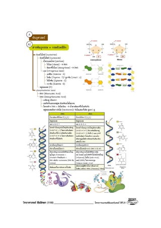 วิทยาศาสตร ชีววิทยา (118)___________________________ โครงการแบรนดซัมเมอรแคมป ปที่ 25
 