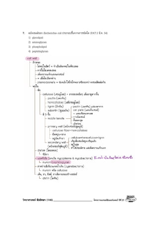 วิทยาศาสตร ชีววิทยา (146)___________________________ โครงการแบรนดซัมเมอรแคมป ปที่ 25
7. ผนังเซลลของ Escherichia coli ประกอบขึ้นจากสารชนิดใด (PAT2 มี.ค. 54)
1) glycolipid
2) aminoglycan
3) phospholipid
4) peptidoglycan
 