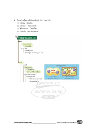 วิทยาศาสตร ชีววิทยา (148)___________________________ โครงการแบรนดซัมเมอรแคมป ปที่ 25
9. โครงสรางคูใดทําหนาที่แบบเดียวกัน (PAT2 ต.ค. 53)
1) ไรโบโซม – ไลโซโซม
2) แวคิวโอล – ไกลโคแคลิกซ
3) ไซโทสเกเลตัน – โครโมโซม
4) แกพจังชัน – พลาสโมเดสมาตา
 