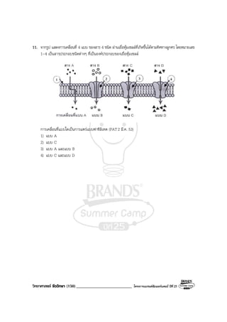 วิทยาศาสตร ชีววิทยา (150)___________________________ โครงการแบรนดซัมเมอรแคมป ปที่ 25
11. จากรูป แสดงการเคลื่อนที่ 4 แบบ ของสาร 4 ชนิด ผานเยื่อหุมเซลลที่เกิดขึ้นไดตามทิศทางลูกศร โดยหมายเลข
1–4 เปนสารประกอบชนิดตางๆ ที่เปนองคประกอบของเยื่อหุมเซลล
การเคลื่อนที่แบบใดเปนการแพรแบบฟาซิลิเทต (PAT2 มี.ค. 53)
1) แบบ A
2) แบบ C
3) แบบ A และแบบ B
4) แบบ C และแบบ D
 