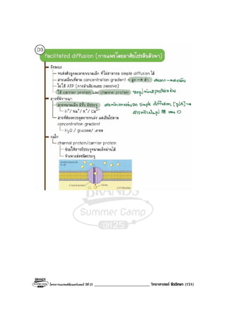โครงการแบรนดซัมเมอรแคมป ปที่ 25 ___________________________ วิทยาศาสตร ชีววิทยา (151)
 