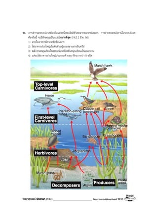 วิทยาศาสตร ชีววิทยา (154)___________________________ โครงการแบรนดซัมเมอรแคมป ปที่ 25
14. การสํารวจระบบนิเวศทองถิ่นแหงหนึ่งพบสิ่งมีชีวิตหลากหลายชนิดมาก การถายทอดพลังงานในระบบนิเวศ
ทองถิ่นนี้ จะมีลักษณะเปนแบบใดมากที่สุด (PAT2 มี.ค. 56)
1) สายใยอาหารมีความซับซอนมาก
2) โซอาหารสวนใหญเริ่มตนดวยผูยอยสลายสารอินทรีย
3) พลังงานหมุนเวียนในระบบนิเวศทองถิ่นหมุนเวียนเปนเวลานาน
4) แตละโซอาหารสวนใหญประกอบดวยสมาชิกมากกวา 5 ชนิด
 