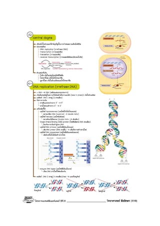 โครงการแบรนดซัมเมอรแคมป ปที่ 25 ___________________________ วิทยาศาสตร ชีววิทยา (119)
 