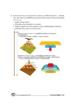 โครงการแบรนดซัมเมอรแคมป ปที่ 25 ___________________________ วิทยาศาสตร ชีววิทยา (155)
15. พีระมิดมวลชีวภาพของระบบนิเวศในแหลงน้ําบางแหงมีชวงเวลาหนึ่งที่พีระมิดเปนหัวกลับ เหตุใดผูผลิต
จึงสามารถสรางพลังงานถายทอดใหผูบริโภคและหมุนเวียนในระบบไดอยางเพียงพอ ทําใหระบบยังคงสมดุลอยูได
(PAT2 มี.ค. 56)
1) ผูผลิตมีขนาดใหญกวาผูบริโภค
2) ผูบริโภคที่มีขนาดใหญกวาผูผลิตมีอัตราการรอดชีวิตต่ํา
3) เมื่อผูบริโภคกินผูผลิตจนจํานวนนอยลง ผูผลิตสามารถเพิ่มจํานวนไดทันโดยมีผูผลิตกําเนิดขึ้นมาใหม
4) ผูบริโภคมีขนาดใหญ แตตองการอาหารในปริมาณนอย
 