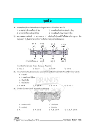 โครงการแบรนดซัมเมอรแคมป ปที่ 25 ___________________________ วิทยาศาสตร ชีววิทยา (163)
ชุดที่ 2
36. ภาพเซลลเยื่อบุขางแกมที่มองเห็นจากกลองจุลทรรศนแบบใชแสงเปนภาพแบบใด
1) ภาพจริงหัวกลับขนาดใหญกวาวัตถุ 2) ภาพเสมือนหัวกลับขนาดใหญกวาวัตถุ
3) ภาพจริงหัวตั้งขนาดใหญกวาวัตถุ 4) ภาพเสมือนหัวตั้งขนาดใหญกวาวัตถุ
37. จากรูปแสดงการเคลื่อนที่ 4 แบบของสาร 4 ชนิดผานเยื่อหุมเซลลที่เกิดขึ้นไดตามทิศทางลูกศร โดย
หมายเลข 1-4 เปนสารประกอบชนิดตางๆ ที่เปนองคประกอบของเยื่อหุมเซลล
สาร A สาร B สาร C สาร D
แบบ C แบบ Dการเคลื่อนที่แบบ A แบบ B
การเคลื่อนที่ของสารแบบ Active Transport คือแบบใด
1) แบบ A 2) แบบ B 3) แบบ C 4) แบบ D
38. การแลกเปลี่ยนแกสบริเวณถุงลมปอด และการกําจัดแบคทีเรียโดยนิวโทรฟลเกิดโดยวิธีการใด ตามลําดับ
ก. การแพร
ข. การแพรแบบฟาซิลิเทต
ค. พิโนไซโทซิส
ง. ฟาโกไซโทซิส
1) ก. และ ค. 2) ก. และ ง. 3) ข. และ ค. 4) ข. และ ง.
39. โครงสรางในภาพดานลางนี้ พบในออรแกเนลลใดบาง
ก. mitochondria ข. chloroplast
ค. nucleus ง. ribosome
1) ก. 2) ก. และ ข. 3) ก., ข. และ ค. 4) ก., ข., ค. และ ง.
 