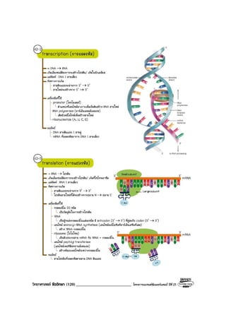 วิทยาศาสตร ชีววิทยา (120)___________________________ โครงการแบรนดซัมเมอรแคมป ปที่ 25
 