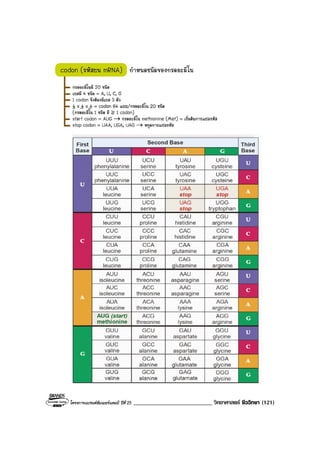 โครงการแบรนดซัมเมอรแคมป ปที่ 25 ___________________________ วิทยาศาสตร ชีววิทยา (121)
 