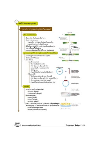 โครงการแบรนดซัมเมอรแคมป ปที่ 25 ___________________________ วิทยาศาสตร ชีววิทยา (123)
 