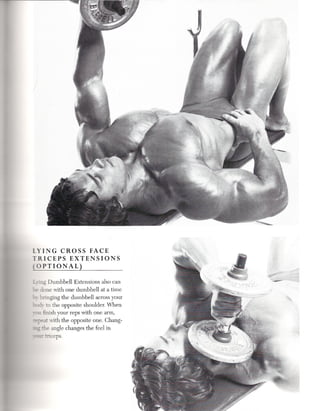 LYING CROSS FACE
TRICEPS EXTENSIONS
( OPTIONAL}

:":ing Dumbbell Extensions also can
'he done with one dumbbell at a time
~~ bringing the dumbbell across your
~- to the opposite shoulder. When
ruu finish your reps with one arm,
~        with the opposite one. Chang-
iIIg ihe angle changes the feel in
 '-:aI'triceps.
 