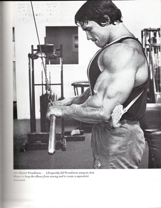 T

.




    I
    
     -,
     "




.   ,
    1
    ~

     -i ~
        1
        '"
        ~




    ..= , Blaster Pressdowns . . . I frequently did Pressdowns using an Arm
    :::::merto keep the elbows from moving and to create a superstrict
    - ",-"f:ement.
 