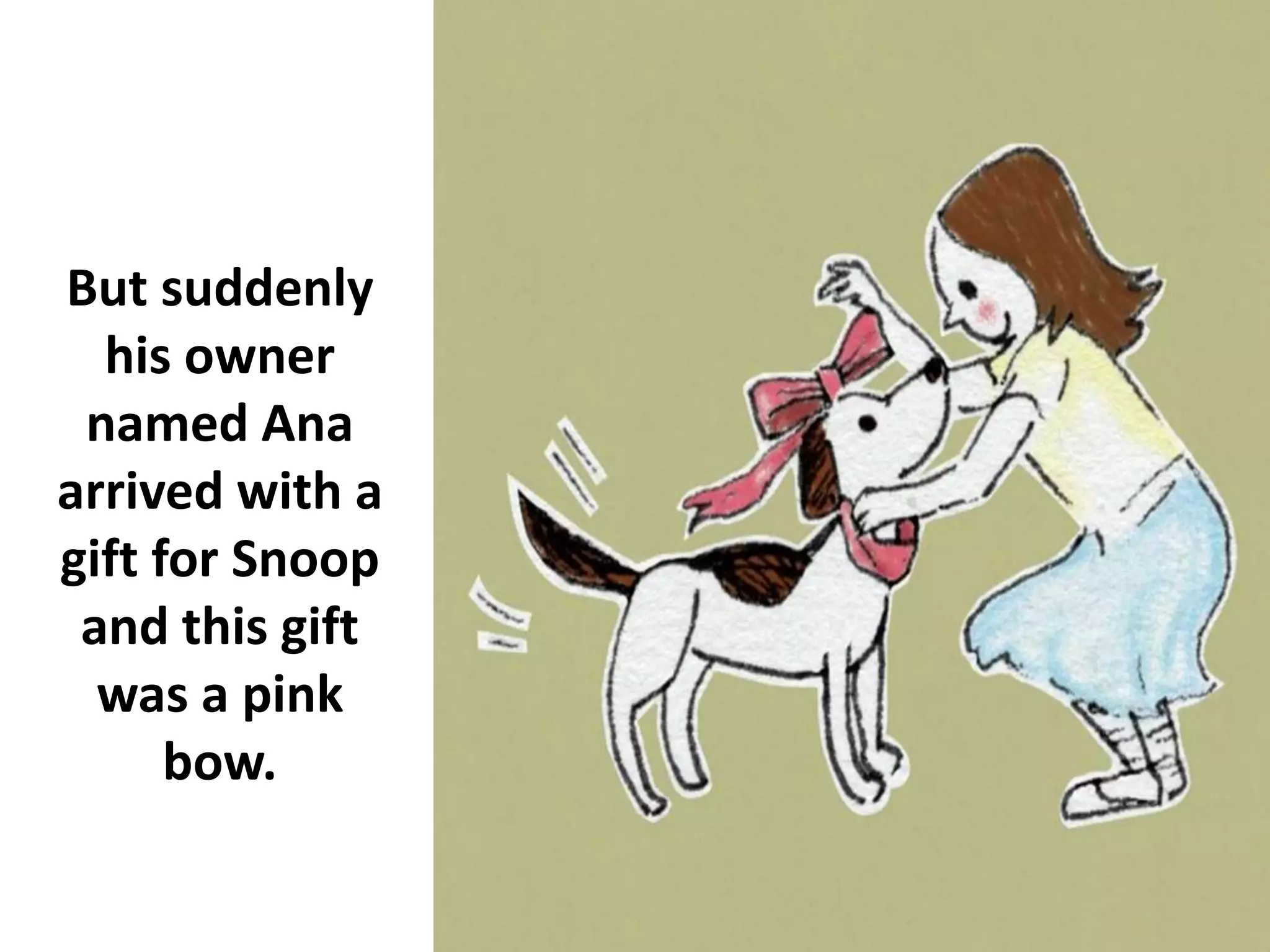 But suddenly
his owner
named Ana
arrived with a
gift for Snoop
and this gift
was a pink
bow.