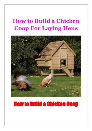 How to Build a Chicken
Coop For Laying Hens
How to Build a Chicken Coop
 