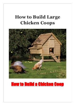 How to Build Large
Chicken Coops
How to Build a Chicken Coop
 