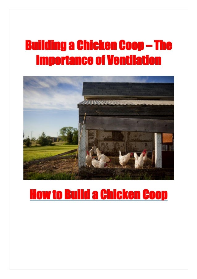 Building A Chicken Coop The Importance Of Ventilation