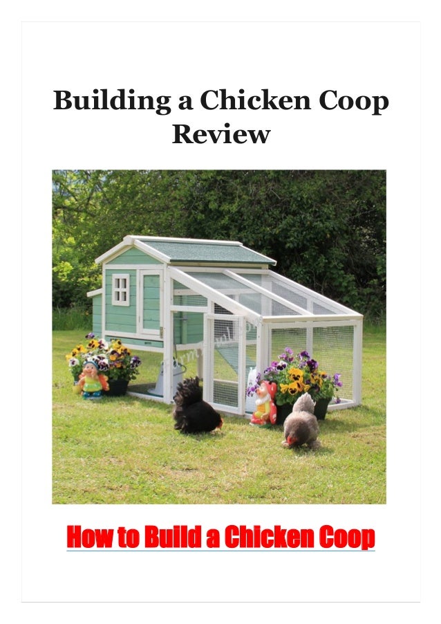 Building A Chicken Coop Review